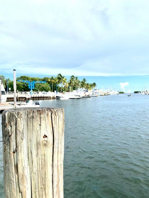 Groveo4 10 Min From The Beach Miami Exterior photo